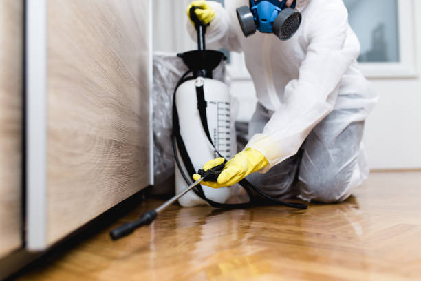 Best Local Pest Control Services  in USA